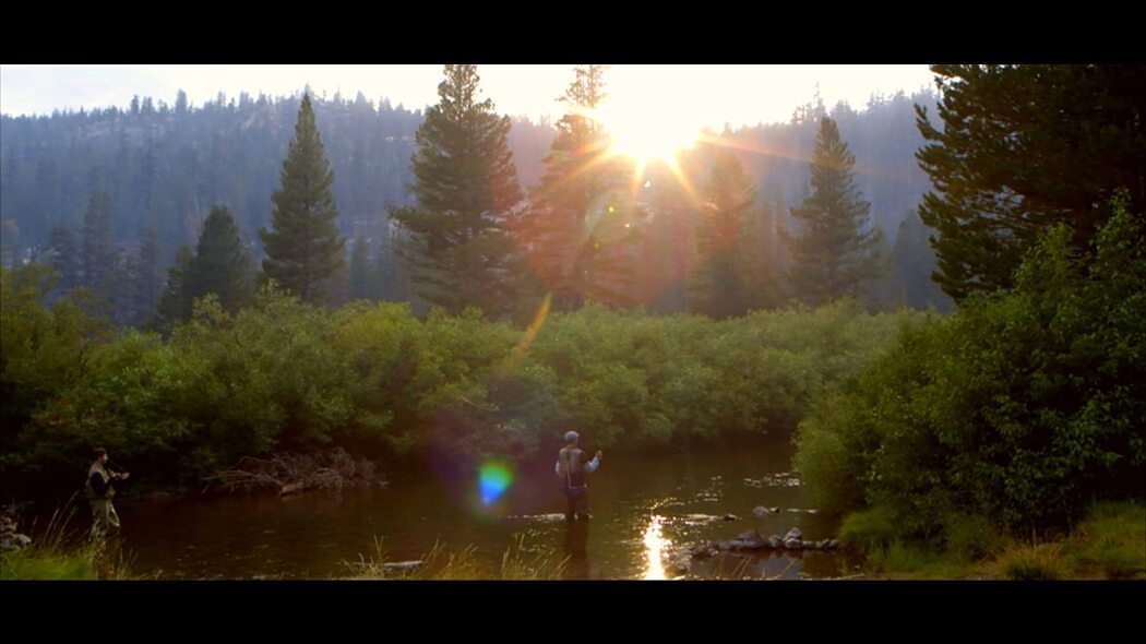 კვალის ბოლოს / End of the Trail