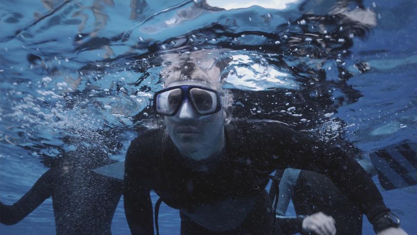 ღია ზღვა: ახალი მსხვერპლი / The Reef
