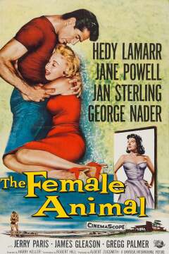 მდედრი ცხოველი / The Female Animal