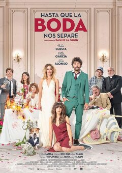 ქორწილის ჩამშლელი / The Wedding Unplanner