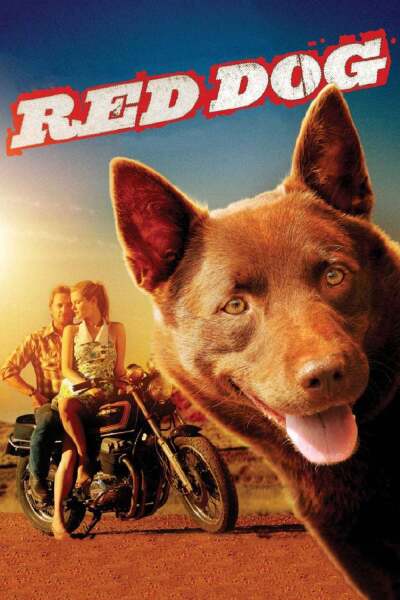 წითური ძაღლი / Red Dog