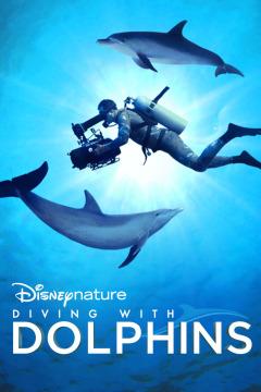 ყვინთვა დელფინებთან ერთად / Diving with Dolphins
