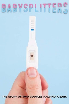 ბავშვისგამყოფნი / Babysplitters