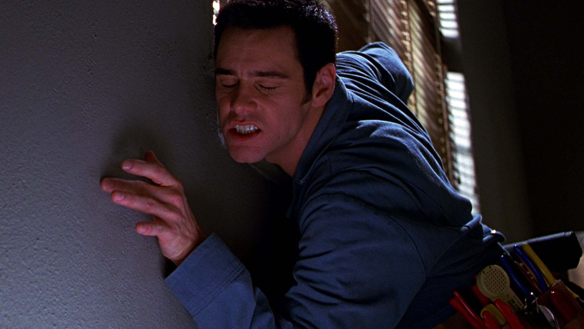 კაბელის ხელოსანი / The Cable Guy