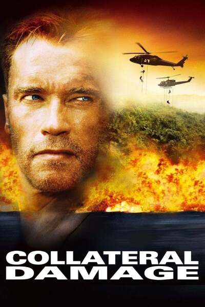 ზარალის ანაზღაურება / Collateral Damage