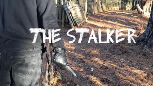 მდევარი / The Stalker
