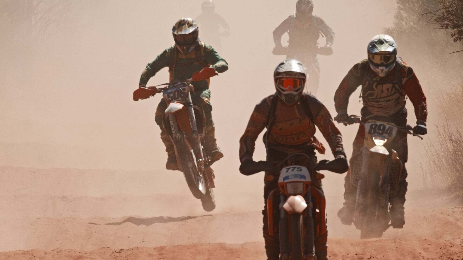 ფინკე: იქეთ და უკან / Finke: There and Back