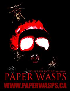 ქაღალდის კრაზანები / Paper Wasps