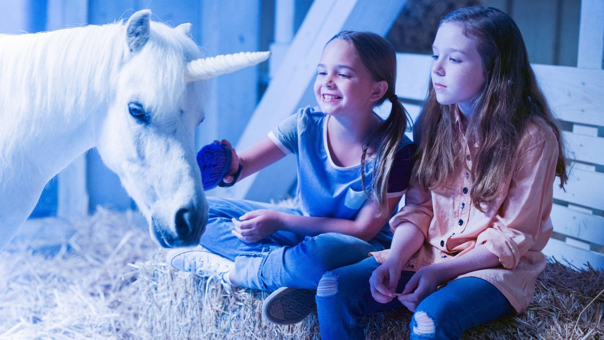 ოცნება მითიურ მარტორქაზე / Wish Upon a Unicorn