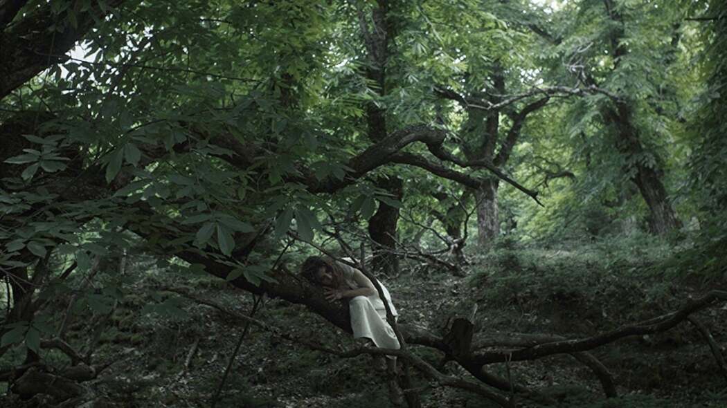 გადაჯაჭვულნი / Entwined