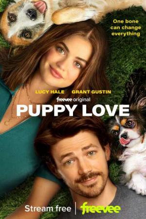 ლეკვის სიყვარული / PUPPY LOVE