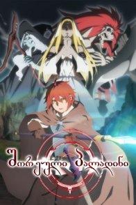 შორეული პალადინი / Saihate no Paladin